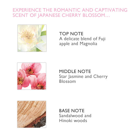 The Body Shop Japanese Cherry Blossom Perfume Oil